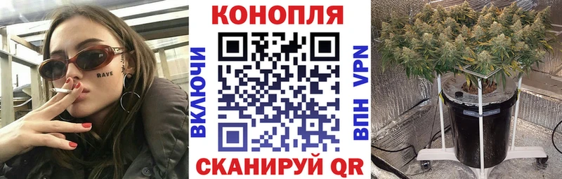 Какие есть наркотики Моздок АМФЕТАМИН  ГАШИШ  Марихуана  APVP 