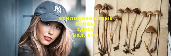ешки Богданович
