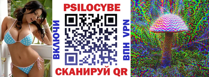 Псилоцибиновые грибы Psilocybine cubensis  Моздок 